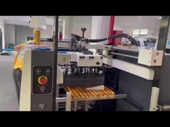 Ультрафиолетовая лаковая машина серии FHSGJ