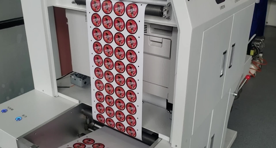 Цифровая печатная машина для печати этикеток Roll To Roll Ecographix Color Printer