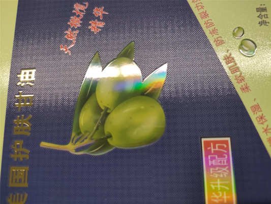 Цифровая лакировальная печатная машина с разрешением от 360*360 dpi до 1440*360 dpi и скоростью от 10 м/мин до 60 м/мин для производства высококачественных этикеток